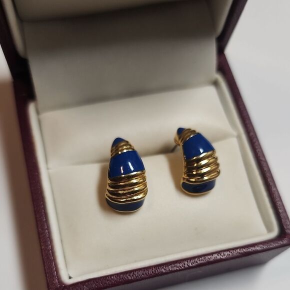 Elegant Gold and Blue Earrings - Picture 1 of 4